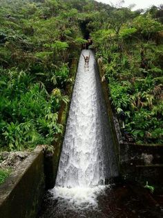 an instagramted photo of a waterfall in the middle of a forest with people standing on it