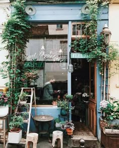 an outside view of a flower shop with potted plants