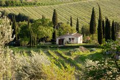 an image of a house in the middle of some trees and grass with hills behind it