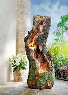 a large piece of wood with moss growing on it's sides, sitting in front of a potted plant