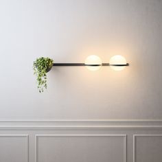 two lights on the wall with a plant growing out of them