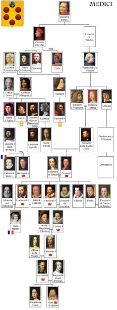 a family tree is shown with many different pictures on the bottom and bottom half of it