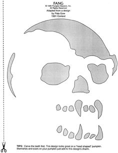 a paper cut out of a skull with the word fang on it's side