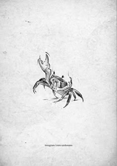 a drawing of a crab on white paper