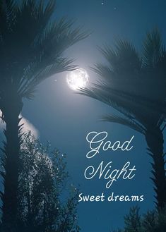 a night scene with palm trees and the words good night