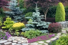 a garden filled with lots of different types of trees