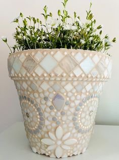 a potted plant sitting on top of a table next to a white flower vase