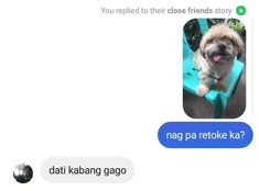 a dog is sitting on top of a blue chair and text reads, you applied it close friends story nag pa retoke ka?