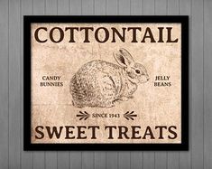 a sign that says cottontail sweet treats with a rabbit on it's side