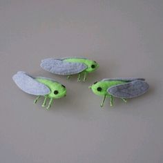 three green and gray insect magnets sitting on top of a table