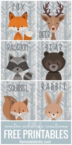 four different animals with the words fox, raccoon, deer, and rabbit on them