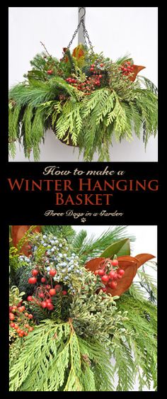 two pictures of evergreens and berries hanging from a light fixture with the words, how to make a winter hanging basket