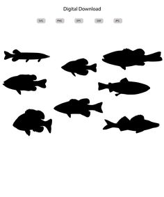 the silhouettes of fish are shown in different sizes and colors, including black on white