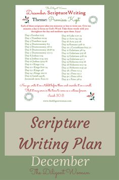 a christmas writing plan with the words'scripting plan'in red and green