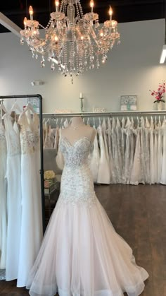 wedding gowns are displayed in a bridal shop