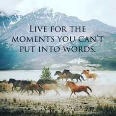 horses running across a field with mountains in the background and text that reads, live for the moments you can't put into words