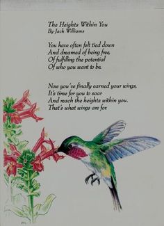 a greeting card with a hummingbird and flowers on it's side, which reads, the highest within you by jack williams