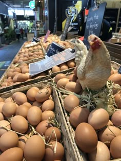 a chicken sitting on top of some brown eggs