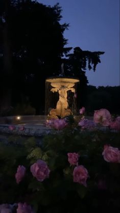 a fountain surrounded by pink roses at night