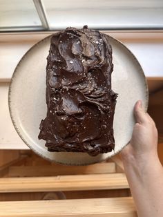 a person holding a plate with a piece of chocolate cake on it