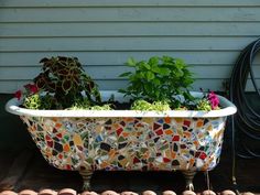 an old bathtub is filled with plants and flowers