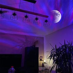 the ceiling is covered in purple lights and plants