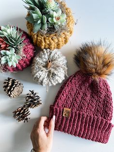 a hand is holding a knitted hat next to some pine cones and succulents