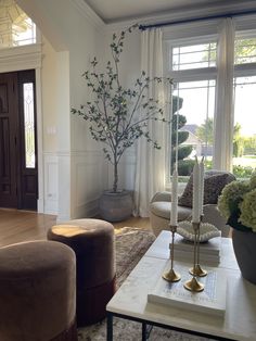 a living room filled with furniture and a tree in the middle of it's center