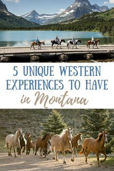 horses running across a bridge with the words 5 unique western experiences to have in montana