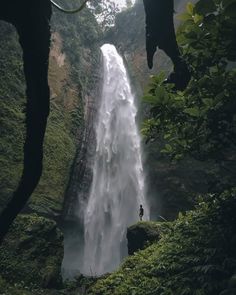 a man standing at the base of a tall waterfall with trees around him and water falling from it