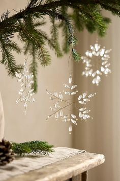 an ornament hanging from a tree branch with snowflakes and pine cones