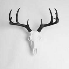 a deer's head mounted on the wall with antlers