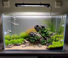 an aquarium filled with plants and rocks in the middle of a desk top area next to a light