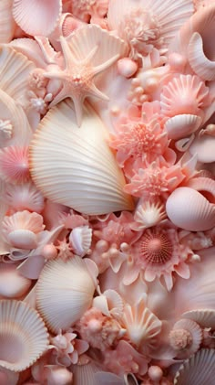 many seashells and starfish are grouped together in this photo with pink hues