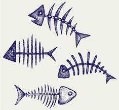 three fish skeleton drawings on a white background