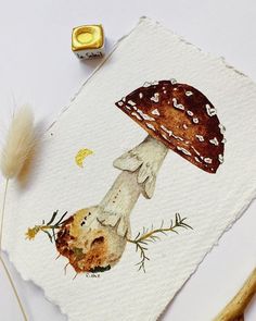 a piece of paper with an image of a mushroom on it next to some dried plants