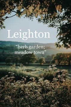 a field with flowers and trees in the background that says, leighton herb garden meadow town