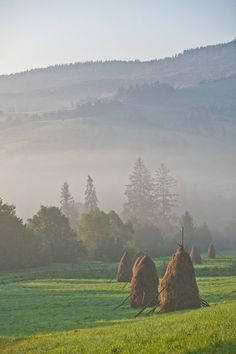 some hay bales in the middle of a field