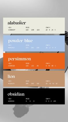 Branding Design | Color palette Color Palette Beige, Palette Beige, Design Color Palette, Font Love, Visuell Identitet, Logo Youtube, Logo Instagram