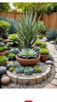 a garden with succulents and rocks in it