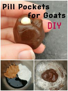 there are pictures of different things made out of chocolate and marshmallows with the words pill pockets for goats diy