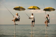 four people sitting on stilts holding fishing rods and umbrellas in the water,