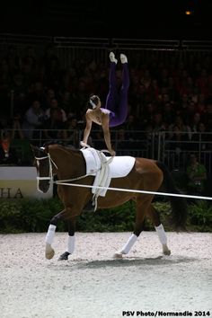 a woman riding on the back of a brown horse while holding onto a rope in front of a crowd