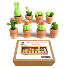 a bunch of small cactus plants sitting in some potted ones on top of a cardboard box