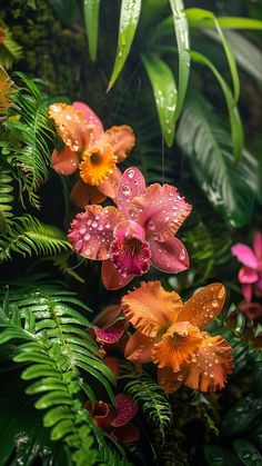 some very pretty flowers in the middle of some green plants with water droplets on them