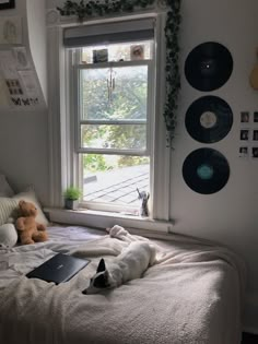 a dog laying on top of a bed next to a window with vinyl records hanging above it