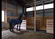 a horse standing inside of a barn next to wooden stalls