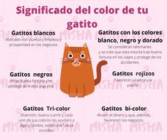 a pink poster with an image of a cat in spanish and the caption that says,