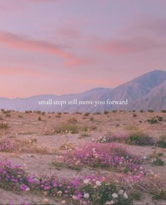 a field with purple flowers and mountains in the background that says small steps still move you forward