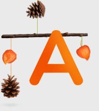 an orange letter hanging from a branch with pine cones and acorns